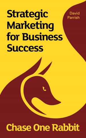 Cover of Chase One Rabbit: Strategic Marketing for Business Success