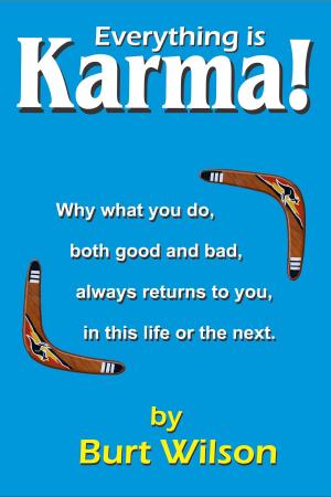 Cover of the book Everything is Karma! by Jan Geurtz