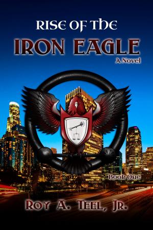 Cover of the book Rise of The Iron Eagle: The Iron Eagle Series Book One by Natalia Salnikova