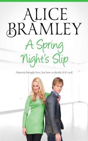 Book cover of A SPRING NIGHT'S SLIP