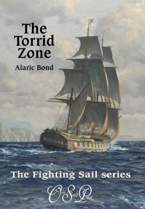 Cover of the book The Torrid Zone by S. L. Stoner