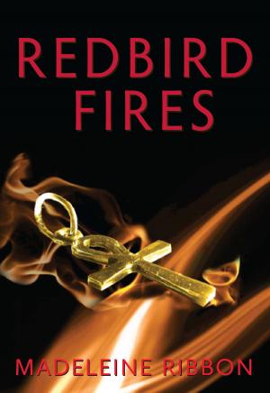 bigCover of the book Redbird Fires by 
