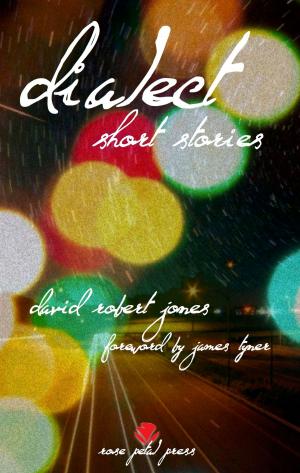 Book cover of Dialect: Short Stories
