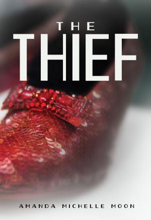 Book cover of The Thief