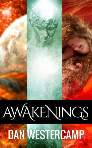 Cover of the book Awakenings by J.D. Harding