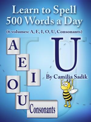 Cover of the book Learn to Spell 500 Words a Day by Alex Huntir
