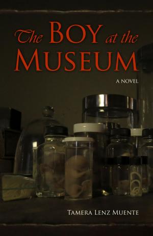 Cover of the book The Boy at the Museum by Bonnie Frankenberger
