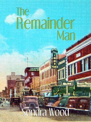 Book cover of The Remainder Man