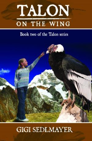 Cover of the book Talon, On the Wing by Warwick O'Neill