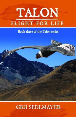Cover of the book Talon, Flight for Life by Helen Parry Jones