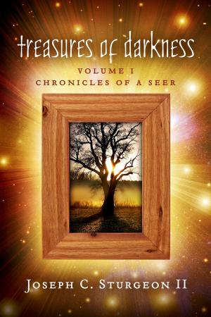 Cover of the book Treasures of Darkness by Seraph