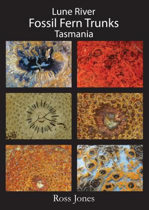 Book cover of Lune River Fossil Fern Trunks Tasmania