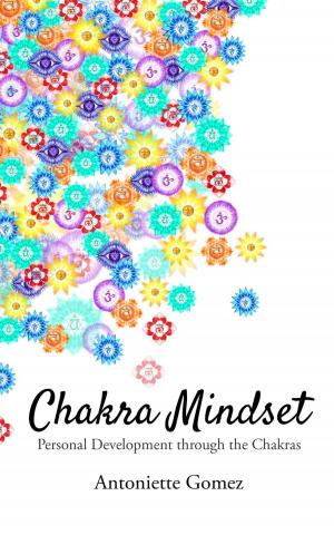 Cover of the book Chakra Mindset by Steven J Sommer
