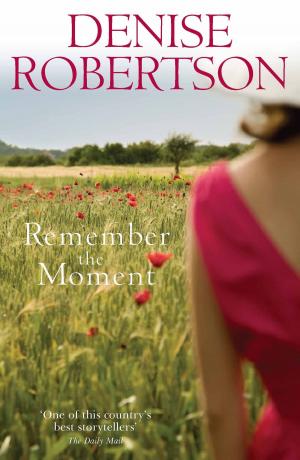 Cover of the book Remember the Moment by Denise Robertson