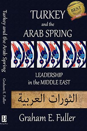 Book cover of Turkey and the Arab Spring: Leadership in the Middle East