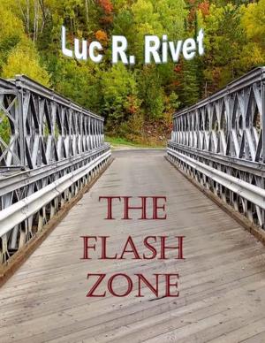 bigCover of the book The Flash Zone by 