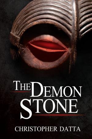 Book cover of The Demon Stone
