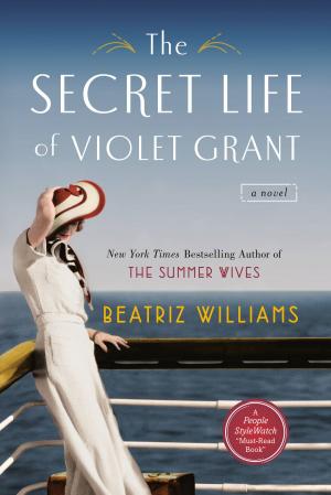 Cover of the book The Secret Life of Violet Grant by Jim Butcher