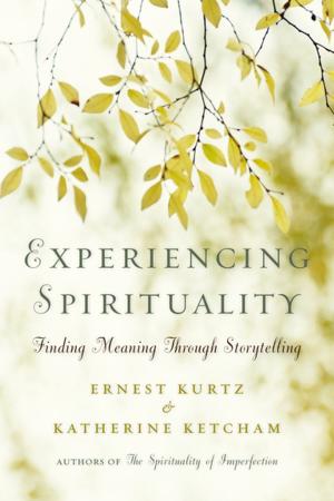 Cover of the book Experiencing Spirituality by Nancy Martin