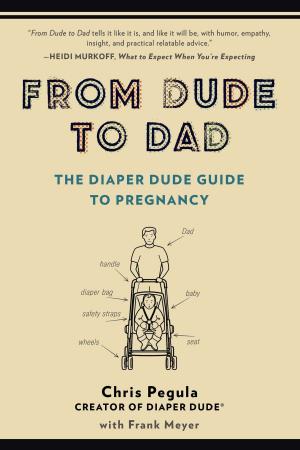 Cover of the book From Dude to Dad by Salley Vickers
