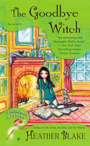 Cover of the book The Goodbye Witch by Tabor Evans
