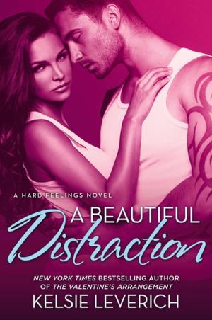 Cover of the book A Beautiful Distraction by Amanda Lee