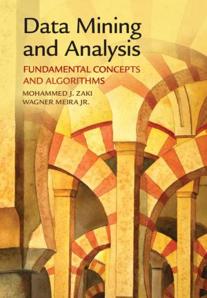 Cover of the book Data Mining and Analysis by Arie Rimmerman