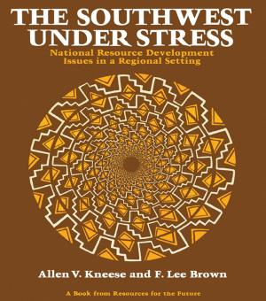 Book cover of The Southwest Under Stress
