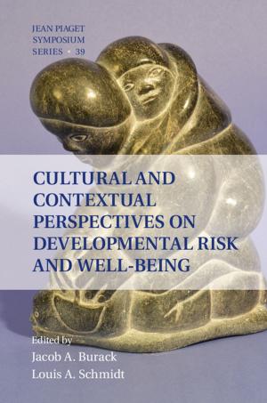 bigCover of the book Cultural and Contextual Perspectives on Developmental Risk and Well-Being by 