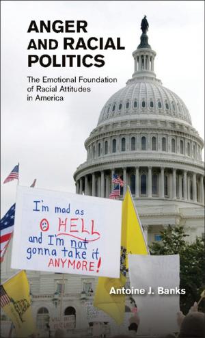 Cover of the book Anger and Racial Politics by Jeremy Gans
