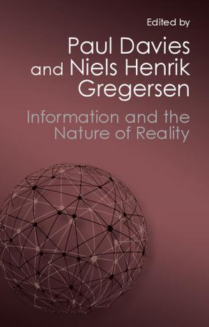 Cover of the book Information and the Nature of Reality by Dr Stephanie Muravchik