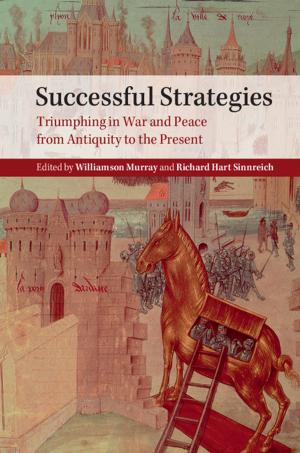 Cover of the book Successful Strategies by Martin J. Sklar, Nao Hauser