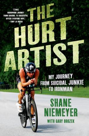 Book cover of The Hurt Artist