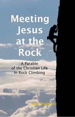 Book cover of Meeting Jesus At the Rock: A Parable of the Christian Life In Rock Climbing