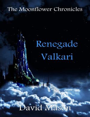 Cover of the book Renegade Valkari by Med-Ali Mekki