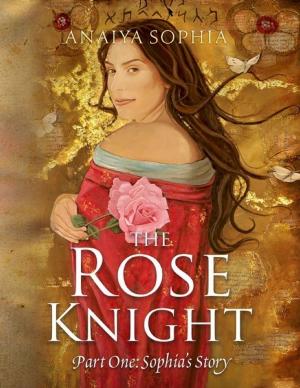 Cover of the book The Rose Knight by Vincent (Arturs Lejnieks) Benson, Victoria Harnish Benson