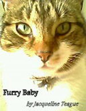 bigCover of the book Furry Baby by 