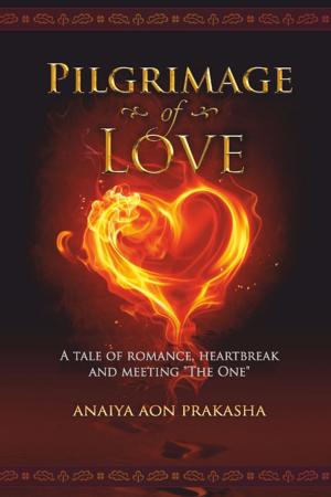 Cover of the book Pilgrimage of Love by Ciera L Jeter