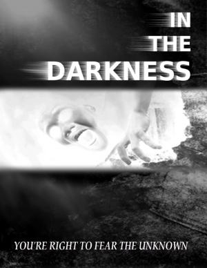 Cover of the book In the Darkness by Arlene Hill