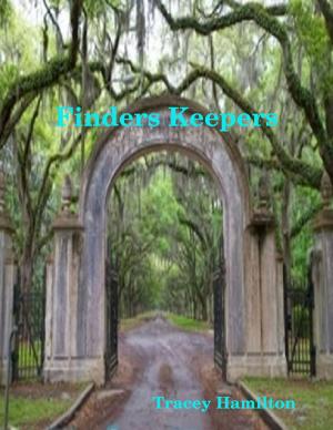 Cover of the book Finders Keepers by David Short