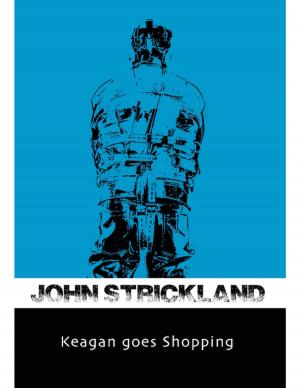 Cover of the book Keagan Goes Shopping by Jonathan Edward Feinstein