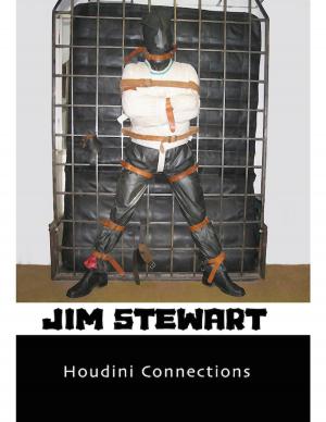 Cover of the book Houdini Connections by Jim Stewart