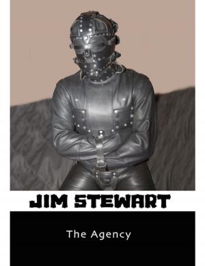 Cover of the book The Agency by David Giardina