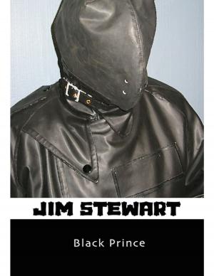 Cover of the book Black Prince by Thomas De Castigne