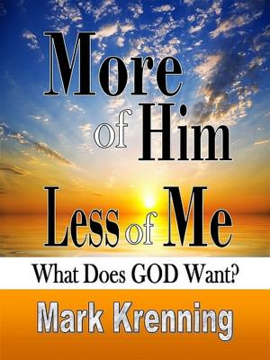 Cover of the book More of HIM, Less of Me by Gil Stieglitz, Jennifer Edwards