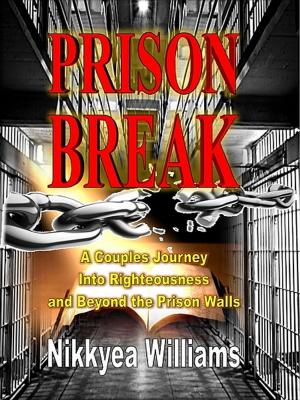 Cover of the book Prison Break by D. Barkley Briggs