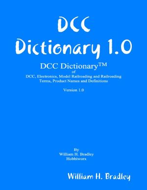 Cover of the book DCC Dictionary 1.0 by Mark Sutter, Judith Hope