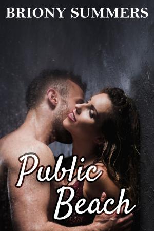 Cover of the book Going Public 2: Public Beach by Samantha Boyd