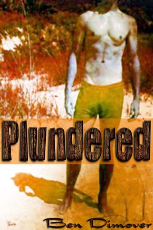 Book cover of Plundered (Rough Reluctant Gay Pirate Prince Submission Erotica)