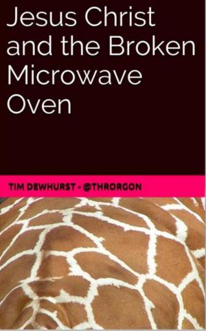 Book cover of Jesus Christ and the Broken Microwave Oven